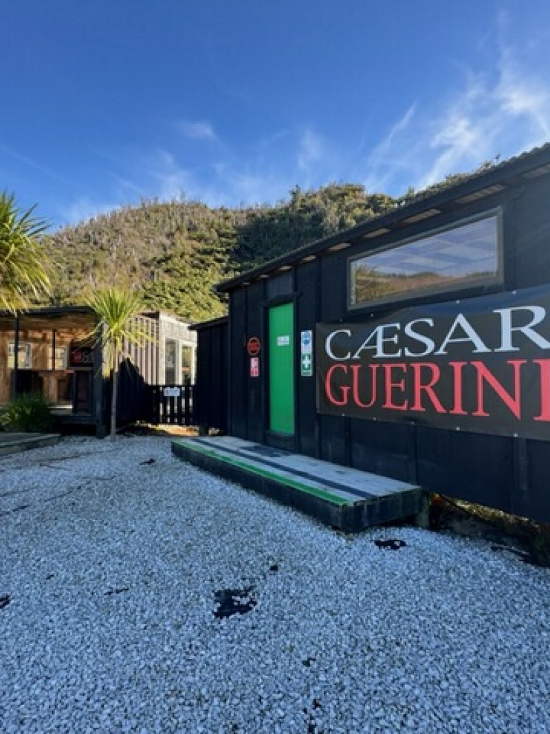 Claybird Shooting  3