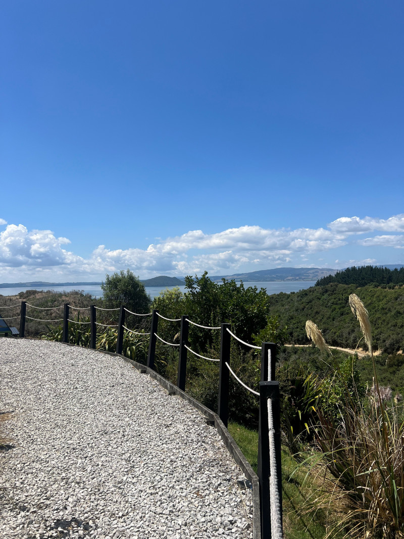 Claybird Shooting  4