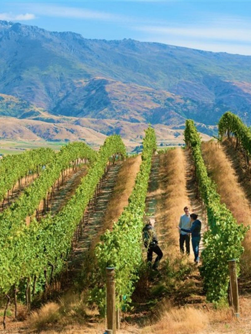 Appellation Wine Tours Queenstown New Zealand 4