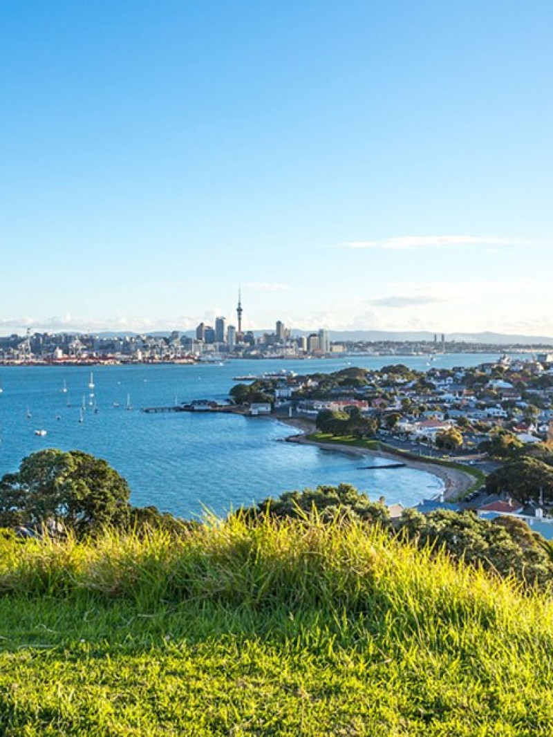 Auckland and Beyond  - Private Tours 10