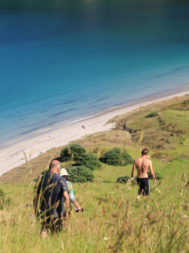 Day Sailing Charter with Island Stop and Lunch 4