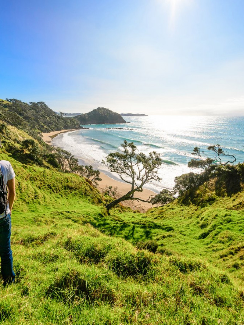 Whangarei "Love It Here" Visitor Guide 4