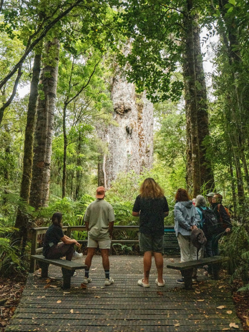 Te Tai Tokerau Northland Visitor Map 2
