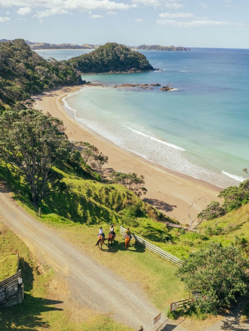 Te Tai Tokerau Northland Visitor Map 9