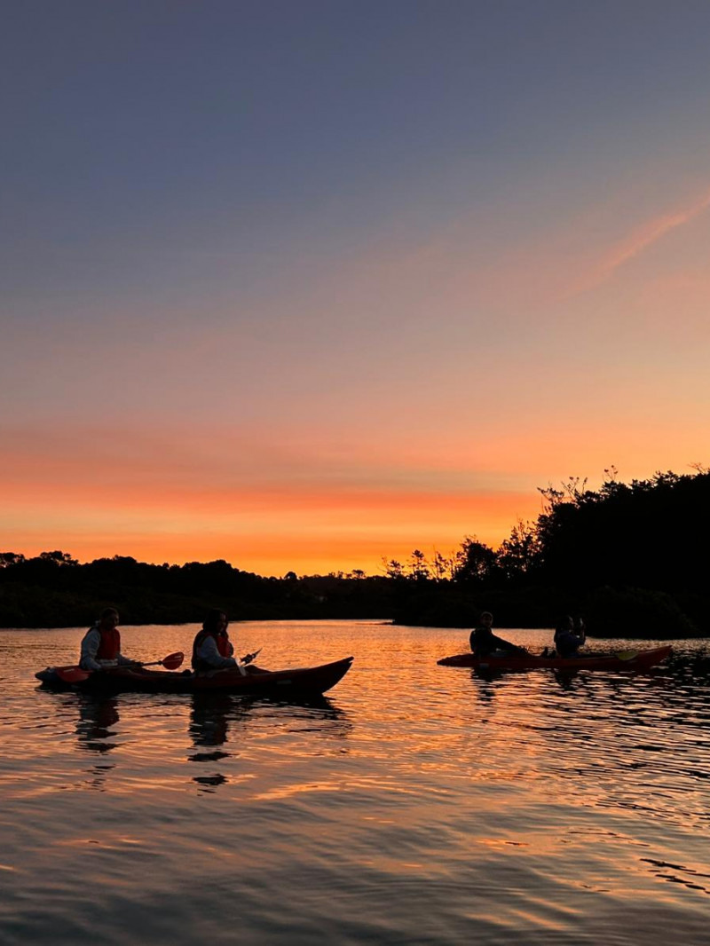 Auckland Bioluminescence Kayak Tour  4