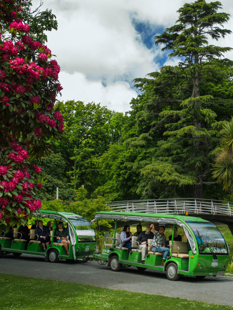 Christchurch Attractions  1