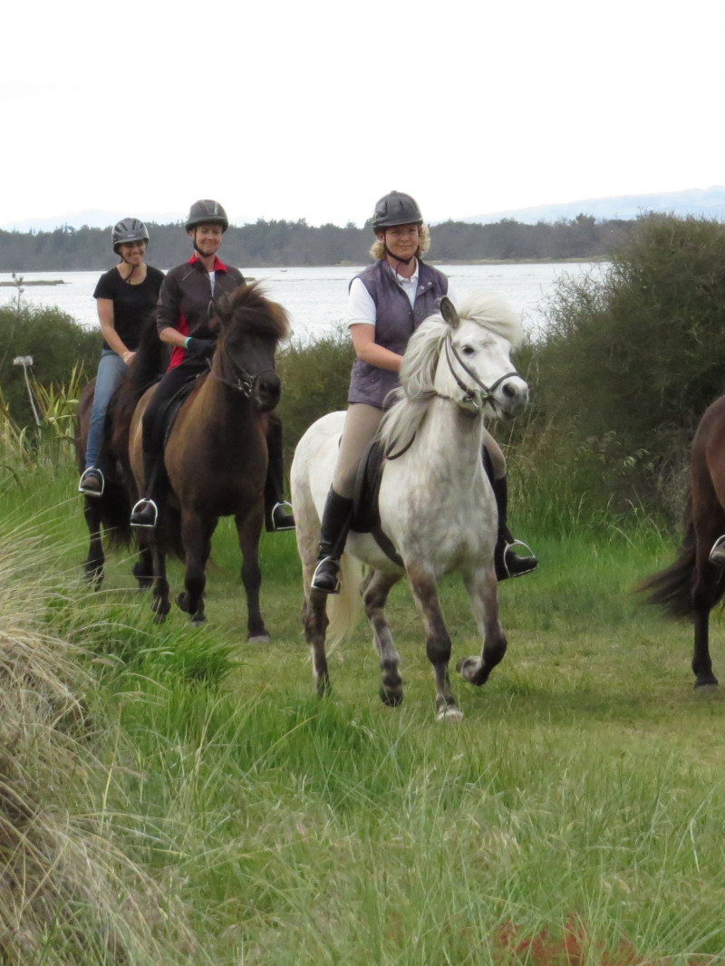 Icelandic Horse Treks 1