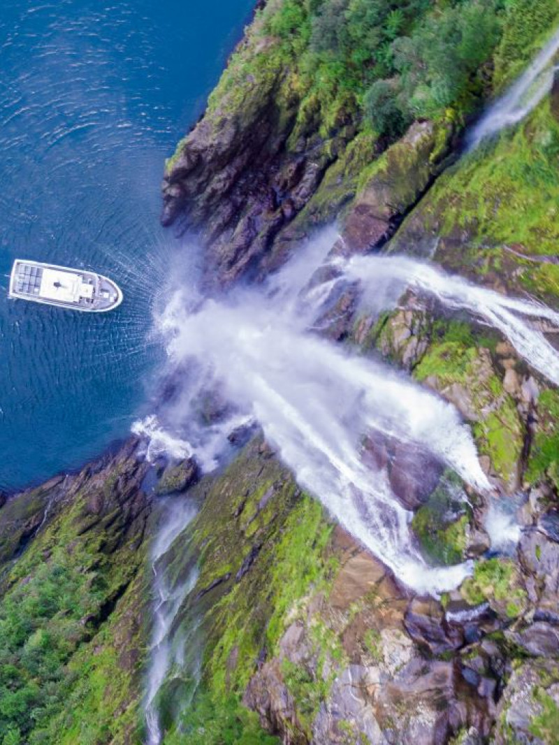 Milford Sound Small Group Tour with Cruise and Picnic Lunch from Queenstown  1