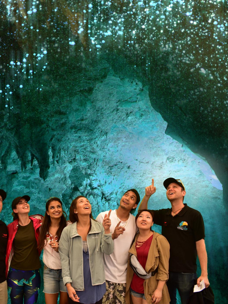 Hobbiton & Waitomo Glowworm Caves Tour from Auckland 5