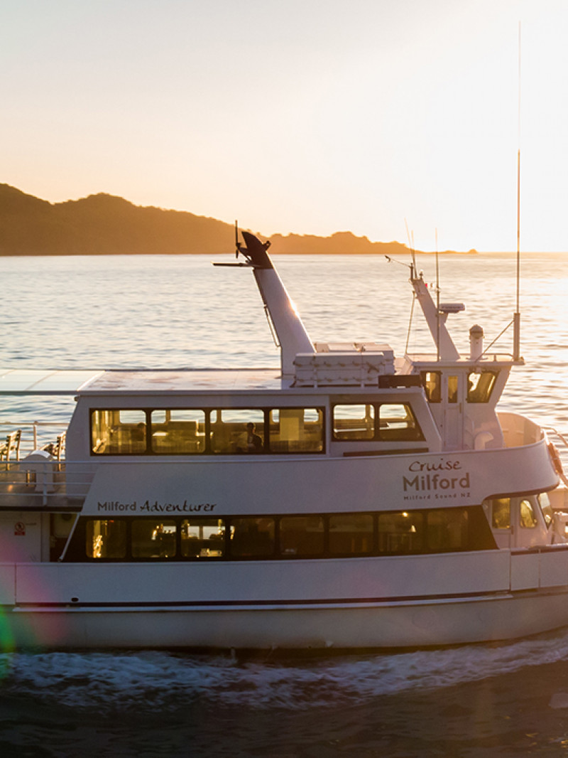 Milford Sound Small Group Tour with Cruise and Picnic Lunch from Queenstown  2