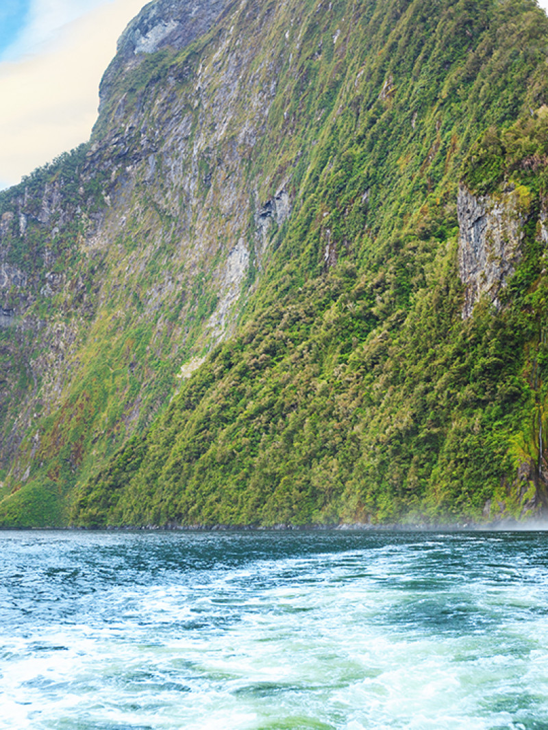 Milford Sound Small Group Tour with Cruise and Picnic Lunch from Queenstown  5