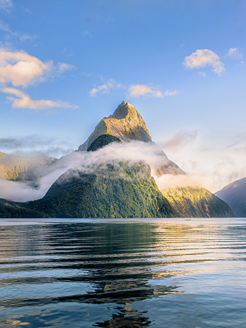 Milford Sound Tour and Cruise with Picnic Lunch from Te Anau 5
