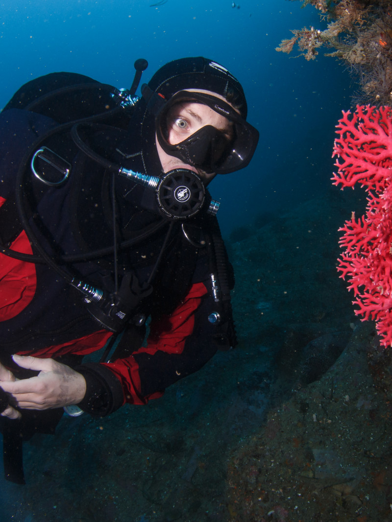 Descend Diving - Milford Sound 1