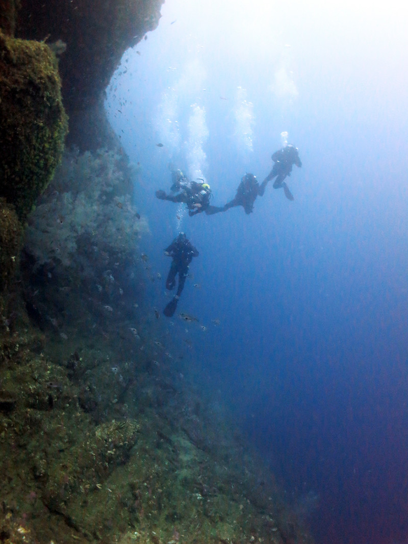 Descend Diving - Milford Sound 10