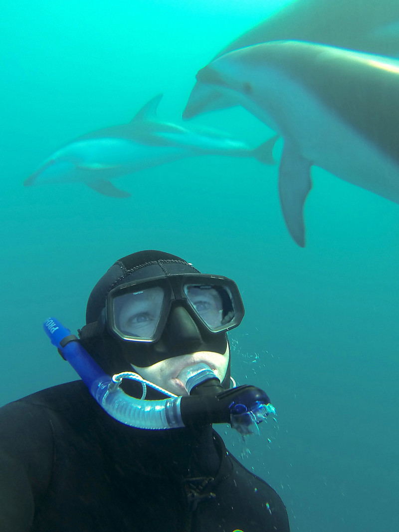 Dolphin Encounter 3