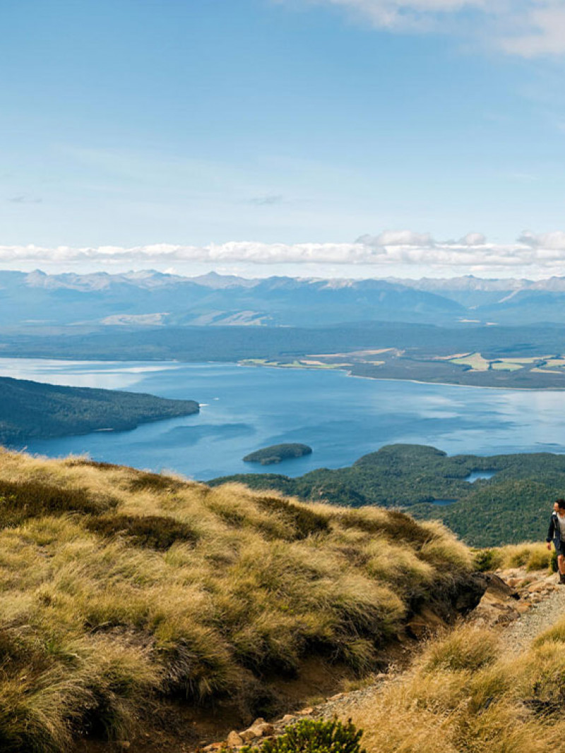 Fiordland Tours - Milford Sound Tours & Walks 4