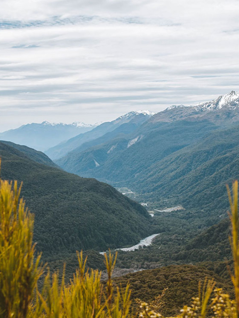 Fiordland Tours - Milford Sound Tours & Walks 5