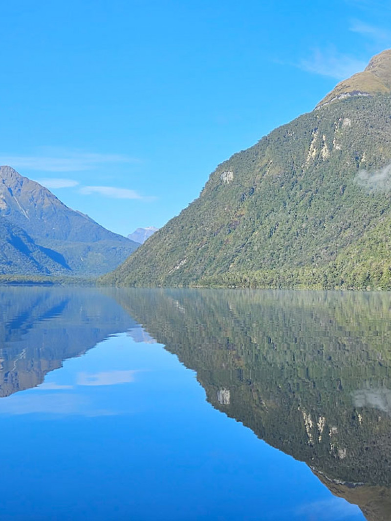 Fiordland Tours - Milford Sound Tours & Walks 6