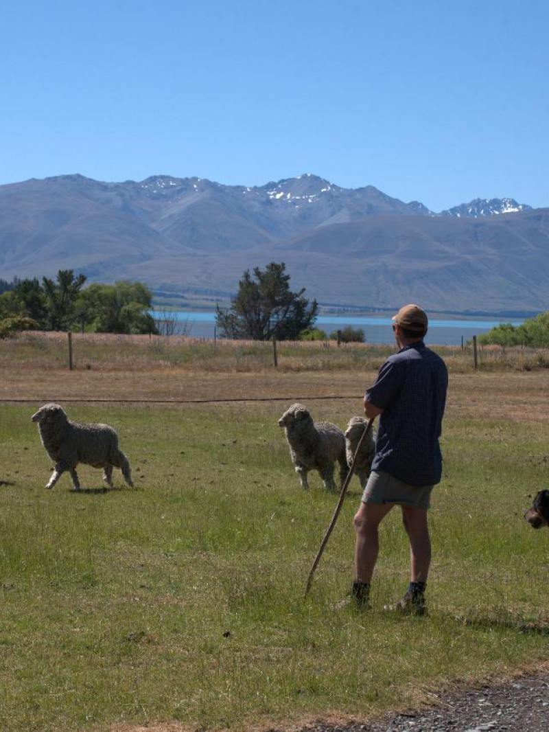 Mt Hay Farm Experience  5