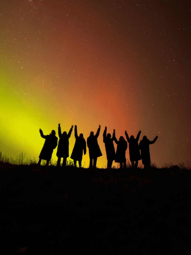 Twizel Stargazing Experience with a Guide (Carbon Positive) 3