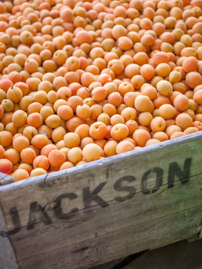 jackson orchard tour
