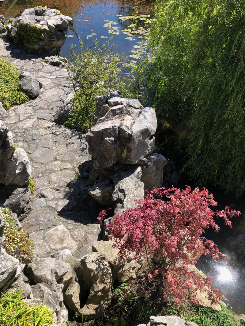 Lan Yuan Dunedin Chinese Garden 10
