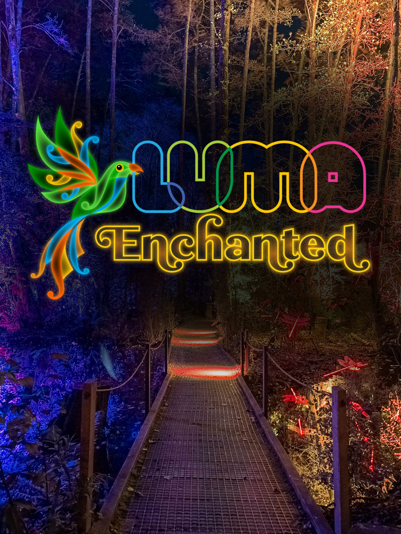 Luma Enchanted 4