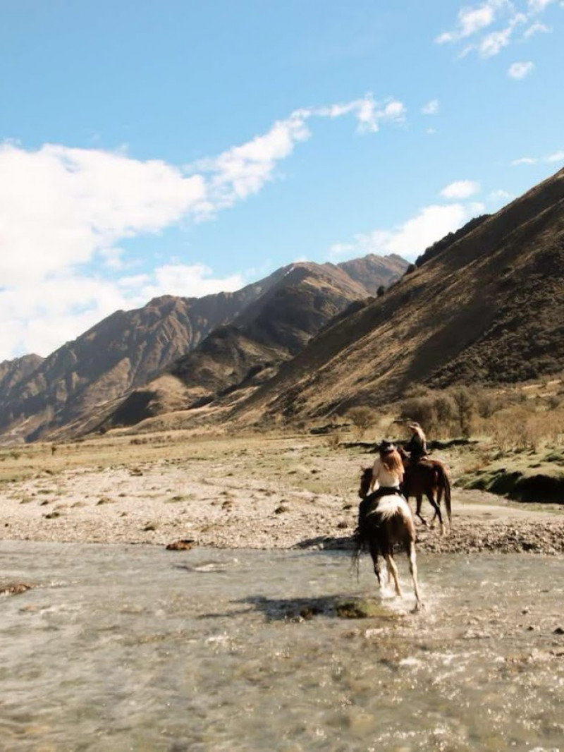 Moke Lake Horse Treks 1