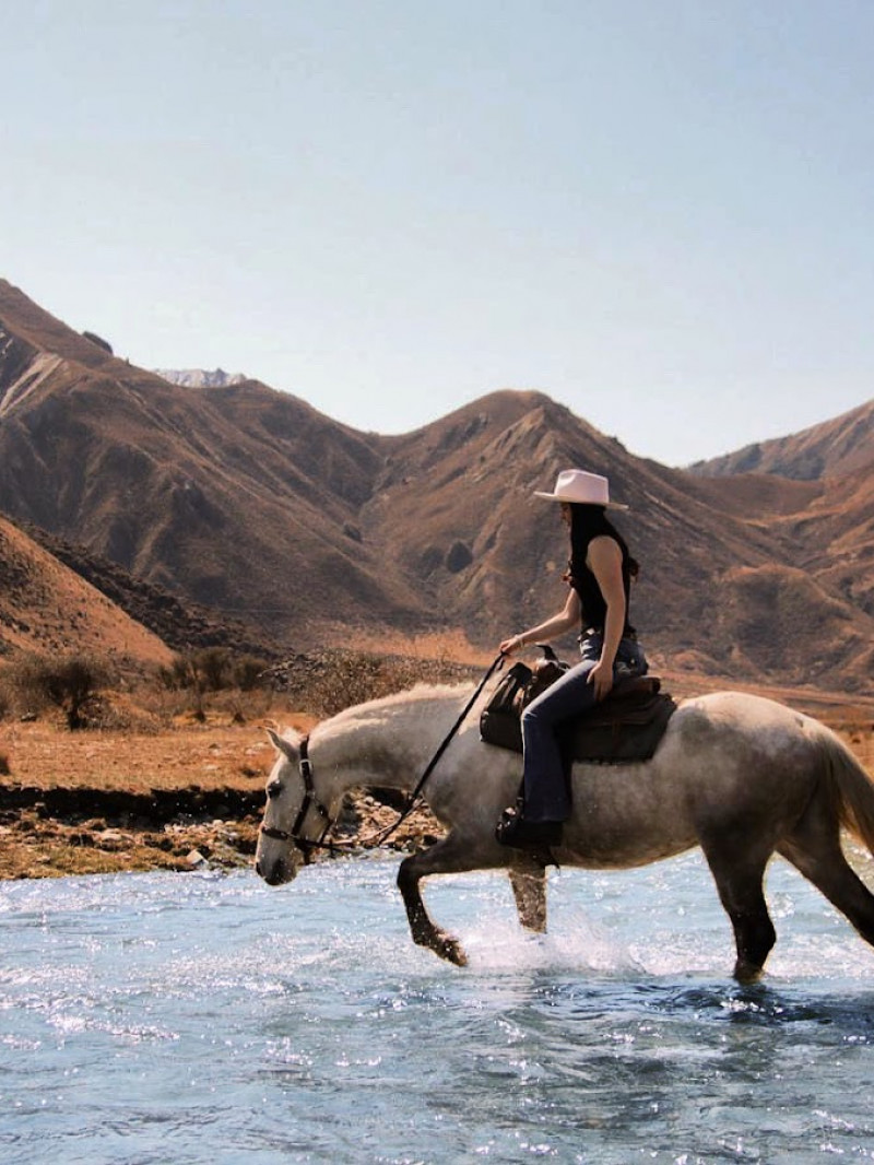 Moke Lake Horse Treks 4