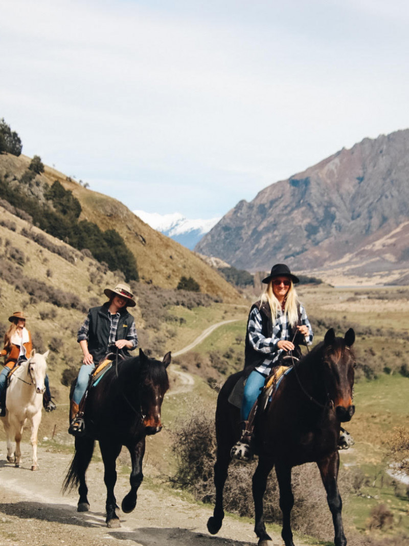 Moke Lake Horse Treks 7