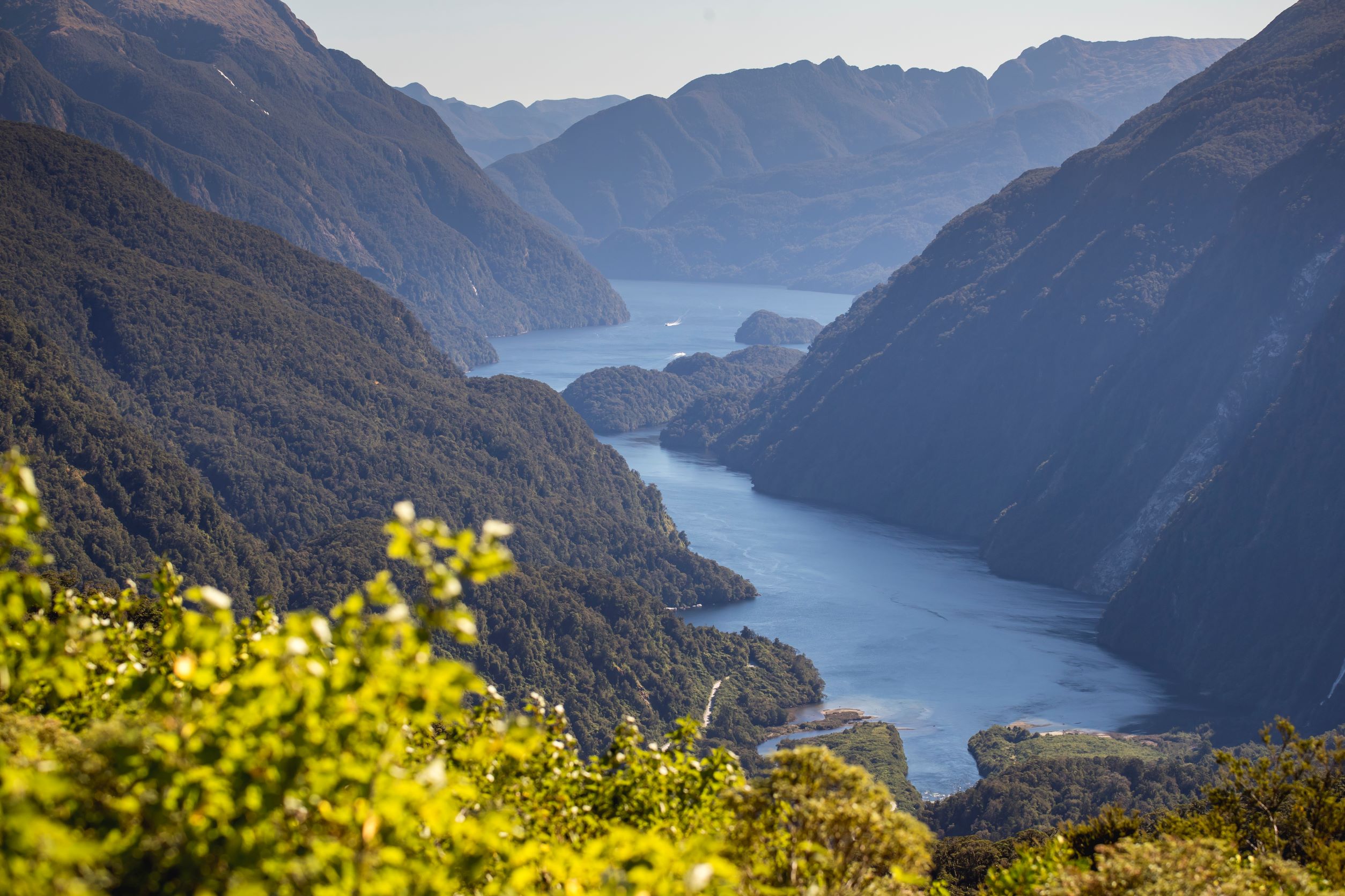 tripadvisor real journeys doubtful sound