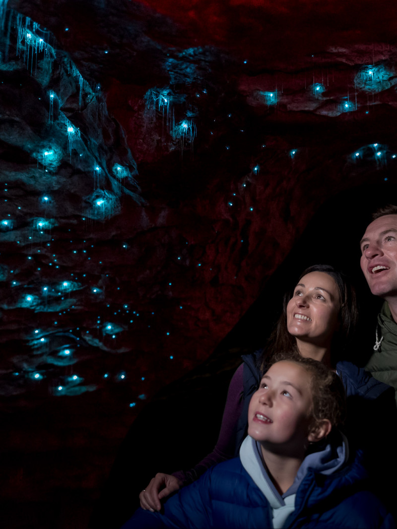 Te Anau Glowworm Caves Experience 2