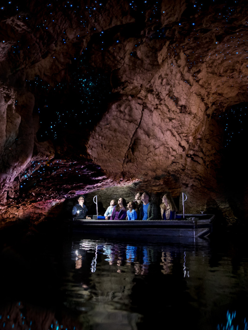 Te Anau Glowworm Caves Experience 3