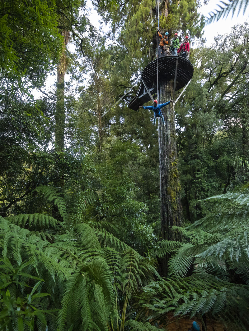 Rotorua Canopy Tours 2