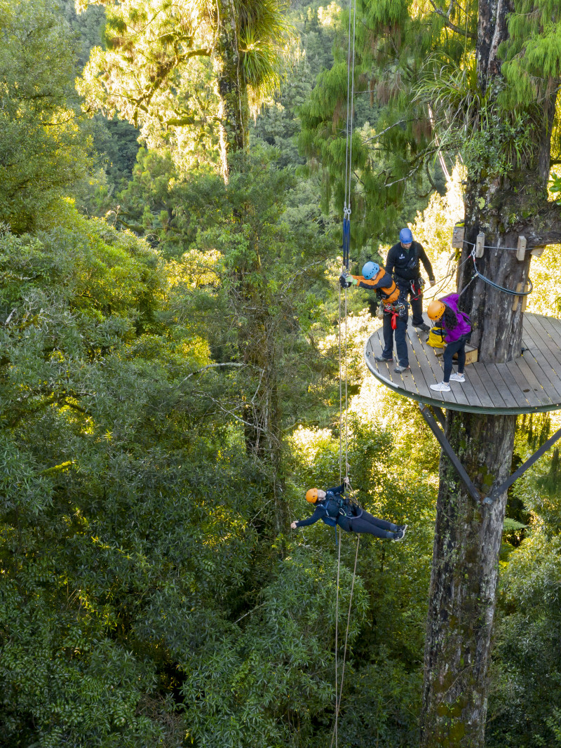 Rotorua Canopy Tours 4