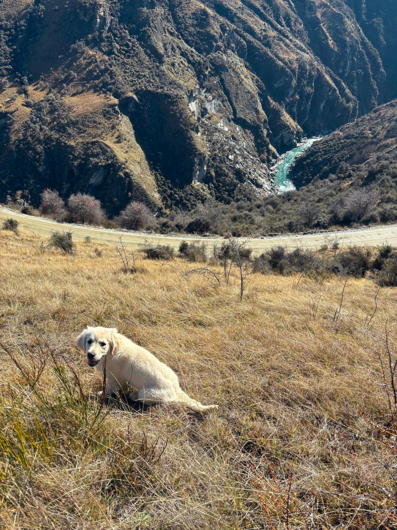 The Goldrush Tour - Skippers Canyon & The Shotover River 4