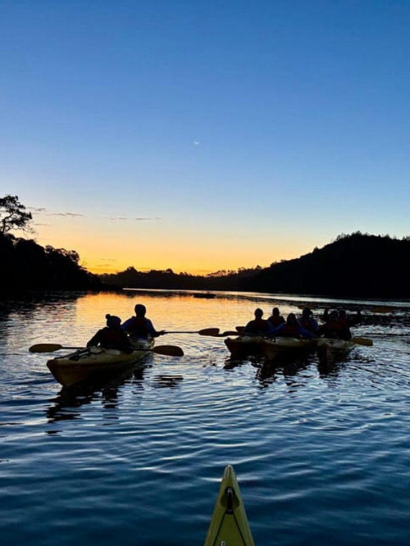 Auckland: Bioluminescence Kayak Tour 1