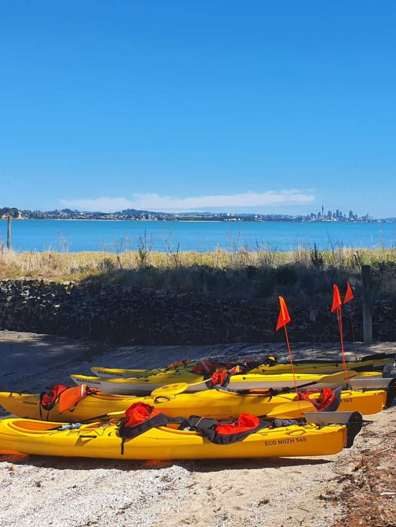 Browns Island Sea Kayak Tour 5