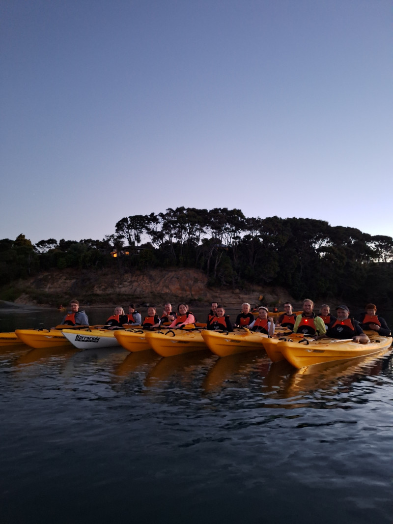 Auckland: Bioluminescence Kayak Tour 2