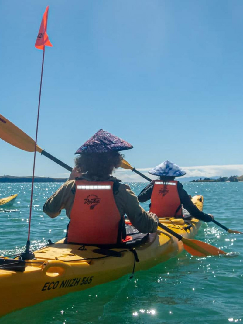 Browns Island Sea Kayak Tour 7