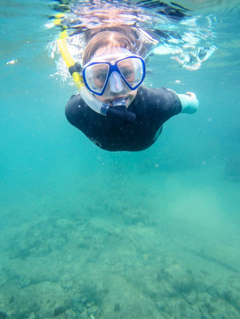 Guided Snorkeling Tours Auckland 2