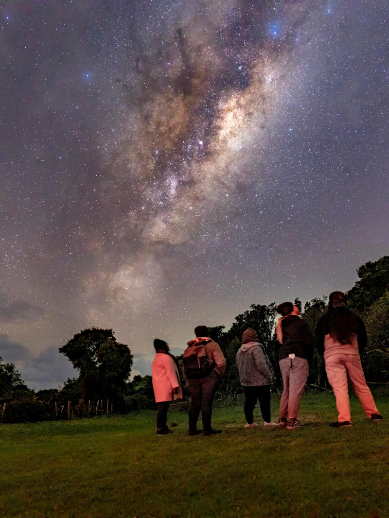 Kiwi Spotting and Stargazing Tours 4