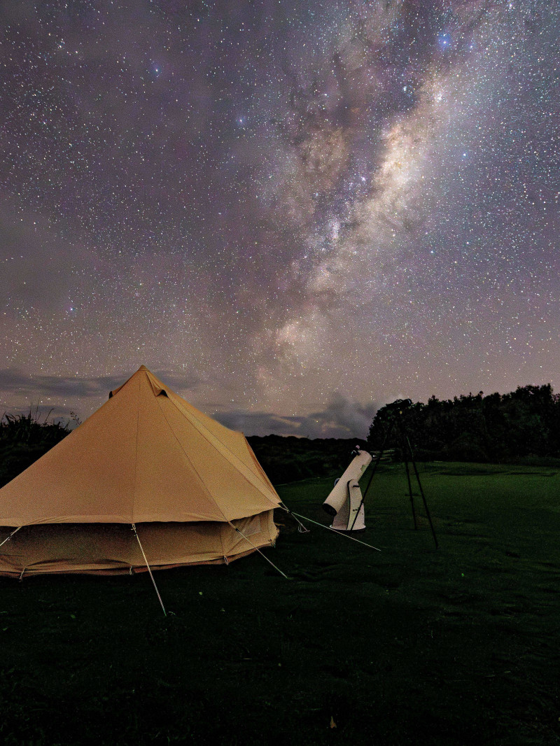 Kiwi Spotting and Stargazing Tours 5