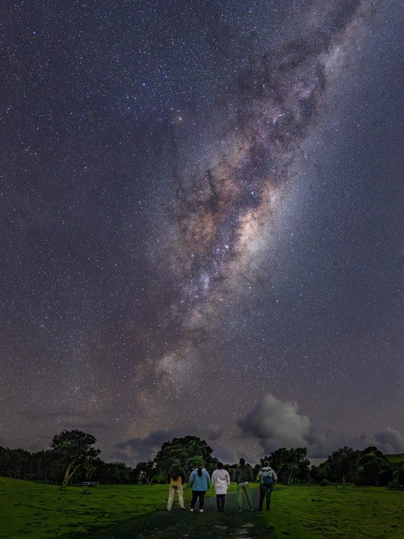 Kiwi Spotting and Stargazing Tours 6