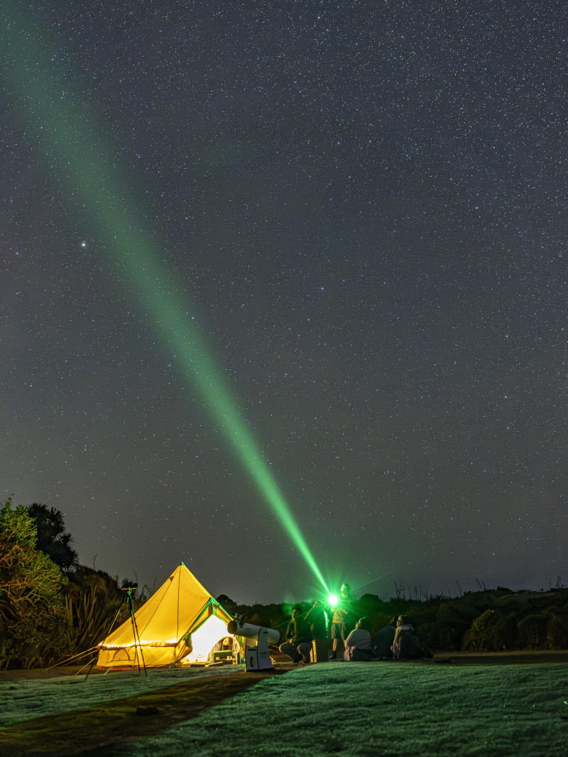 Kiwi Spotting and Stargazing Tours 7