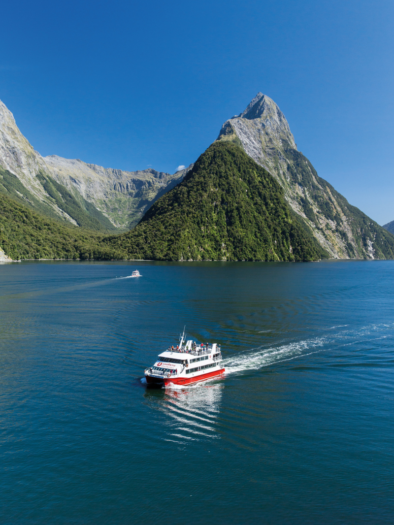 Southern Discoveries - Milford Sound Nature Cruise 5