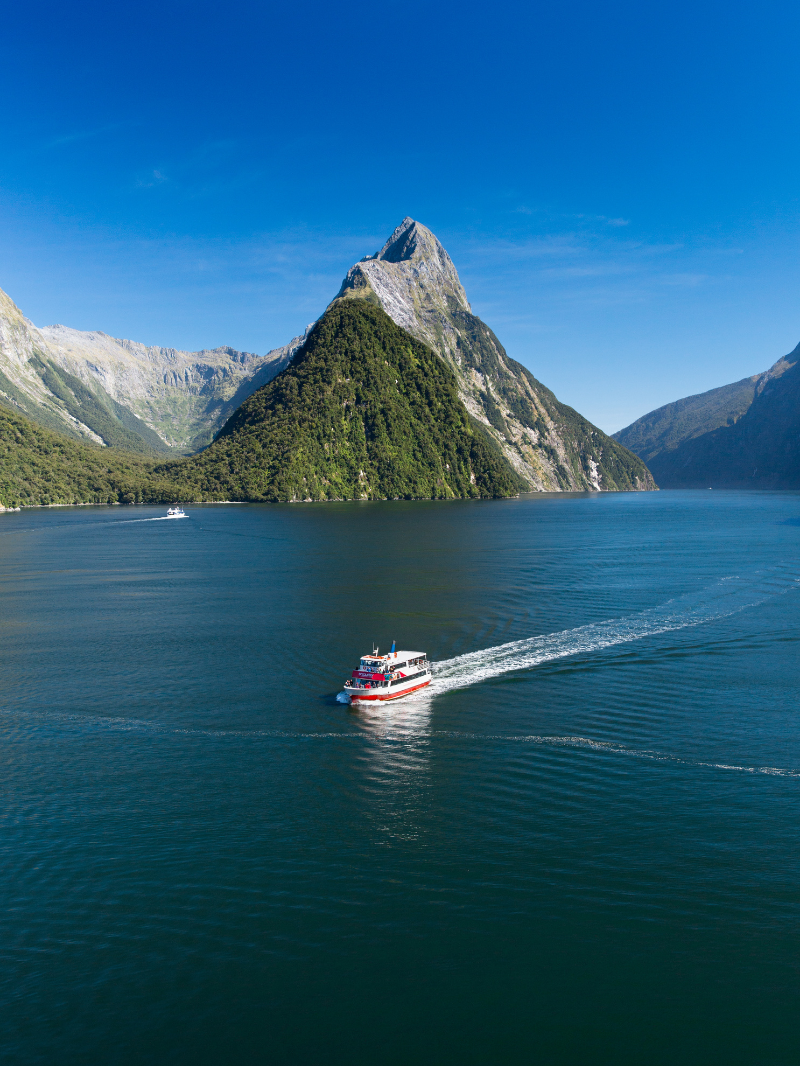 Southern Discoveries - Milford Sound Discover More Cruise 8