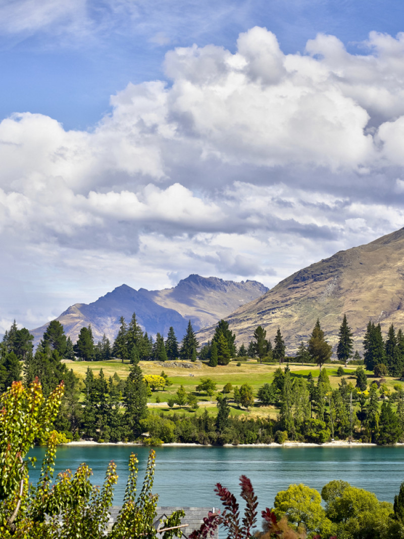 Stay of Queenstown 6