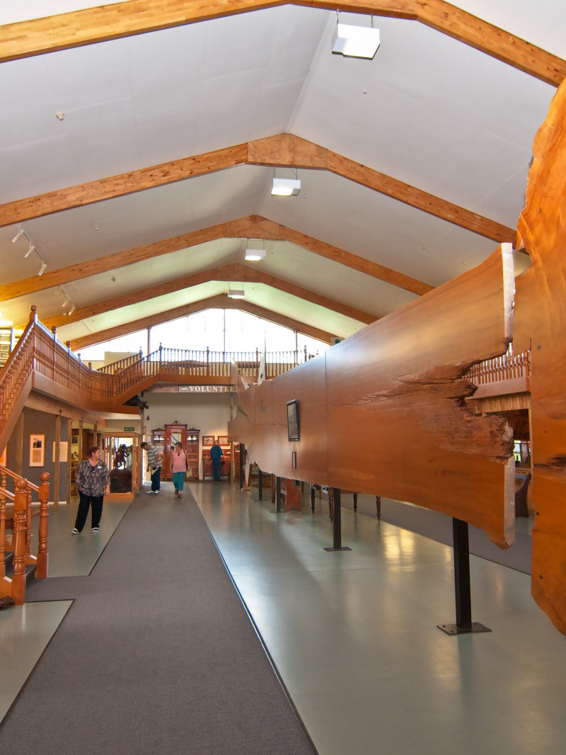 The Kauri Museum 7