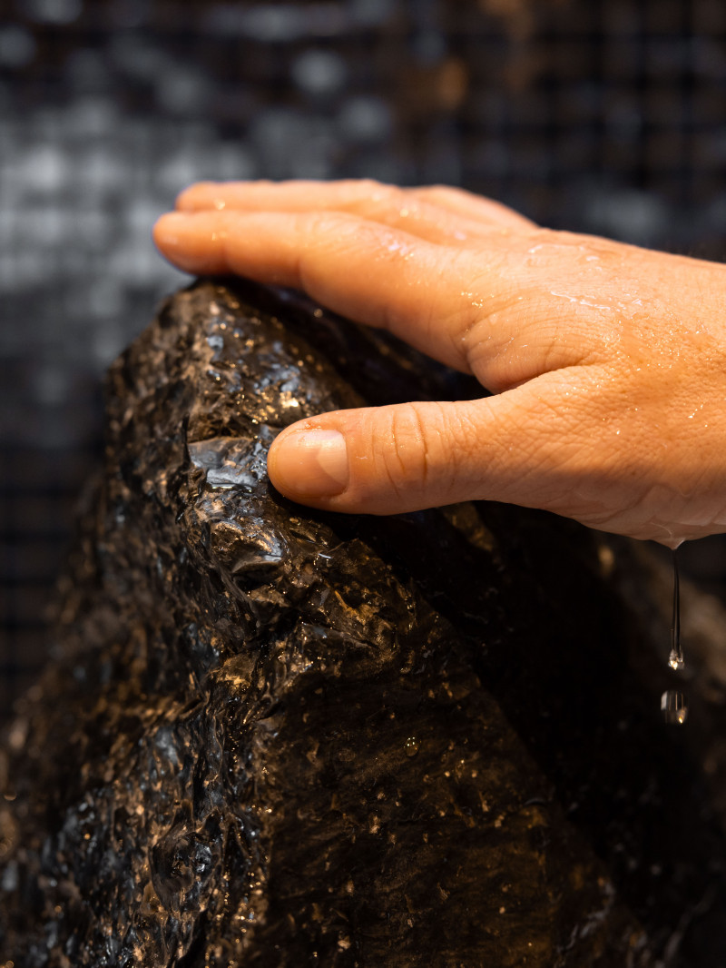 2 Hour Restorative Journey - Wai Whakaora 1